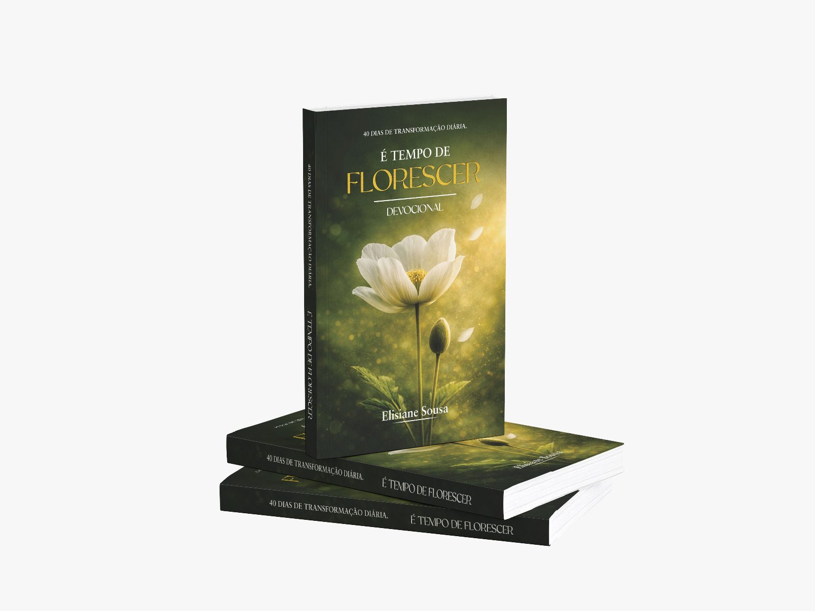 Livro É Tempo de Florescer